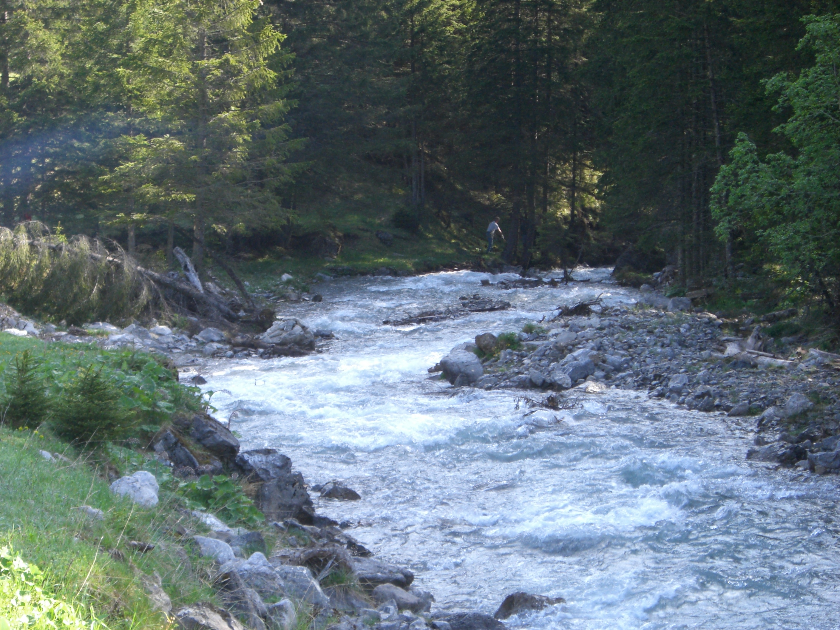 Der Mengbach - naturbelassener Bergbach